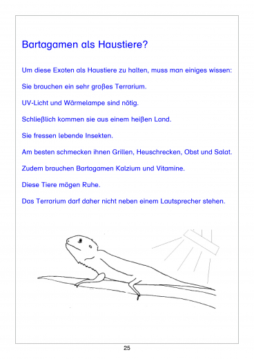 Werde Silbenknig! Lesen und Schreiben Lernen trotz LRS (E-Book PDF)