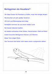 Werde Silbenknig! Lesen und Schreiben Lernen trotz LRS